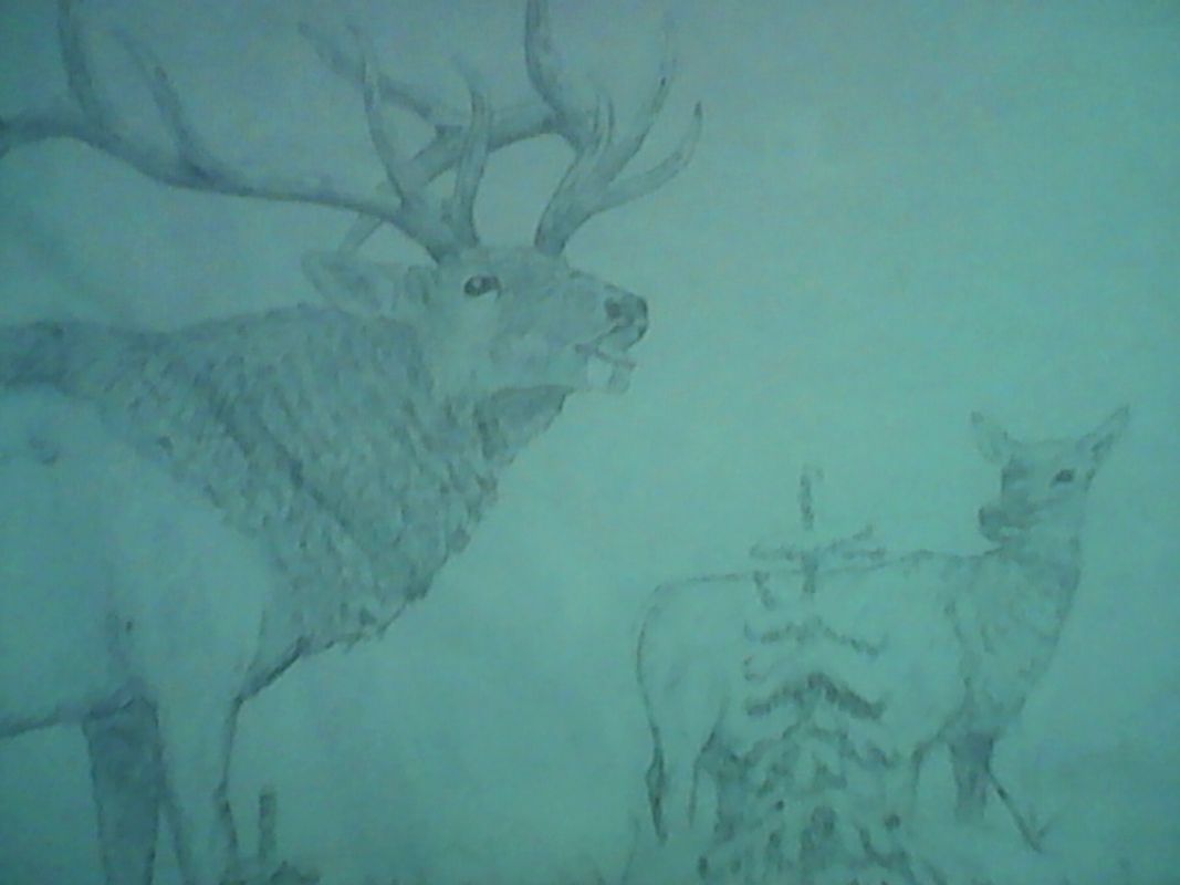 Elk Mating Call