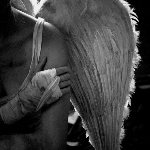 Wings Wings