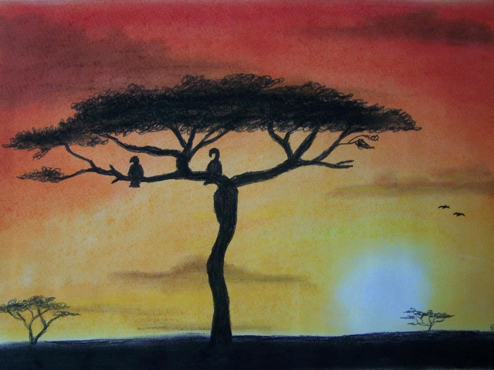 sunset