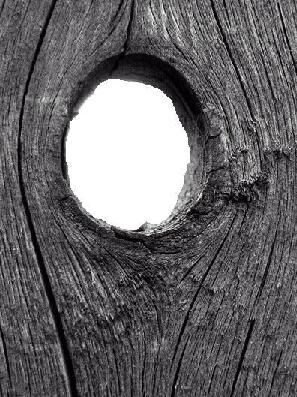 The Knothole in the Fence
