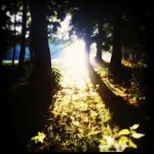 A PERFECT WORLD A PERFECT WORLD