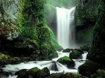 The Well Within