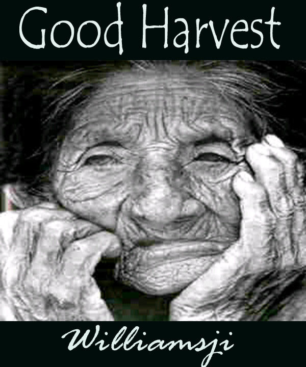 Good Harvest...
