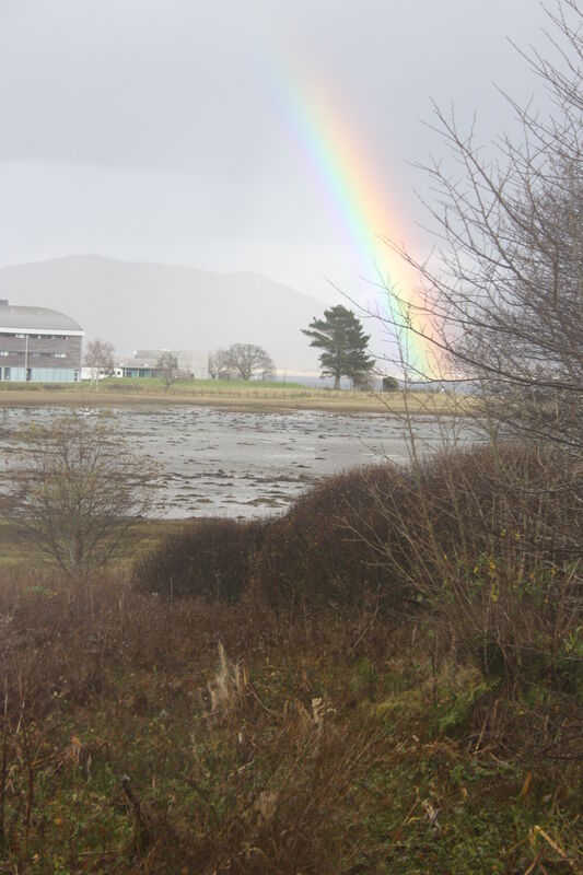 Brother's Costs Brother's Costs