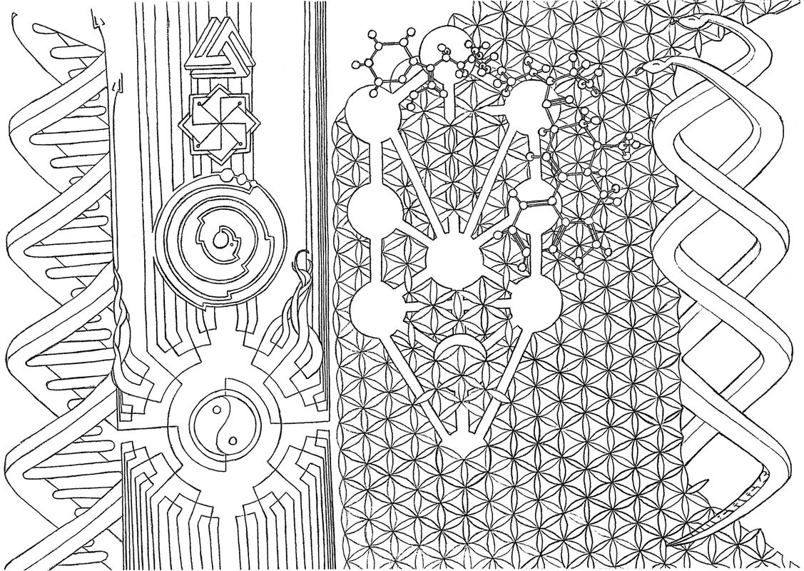 Pineal Lineage