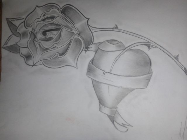 Love in the Rose