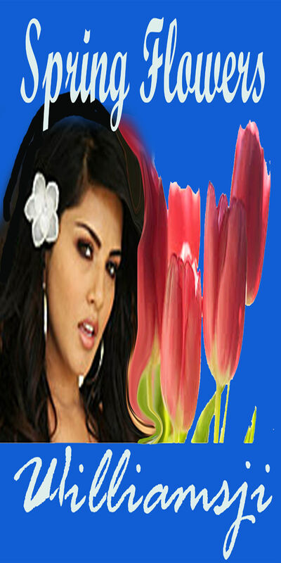 Spring flowers Spring flowers