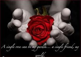 I'm your rose