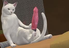 THE ULTIMATE...PURR-FECT PUSSY !?X THE ULTIMATE...PURR-FECT PUSSY !?X