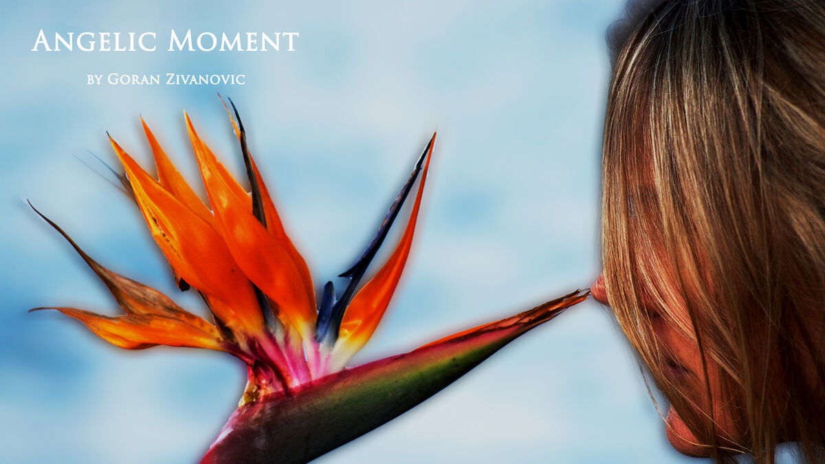 Angelic Moment