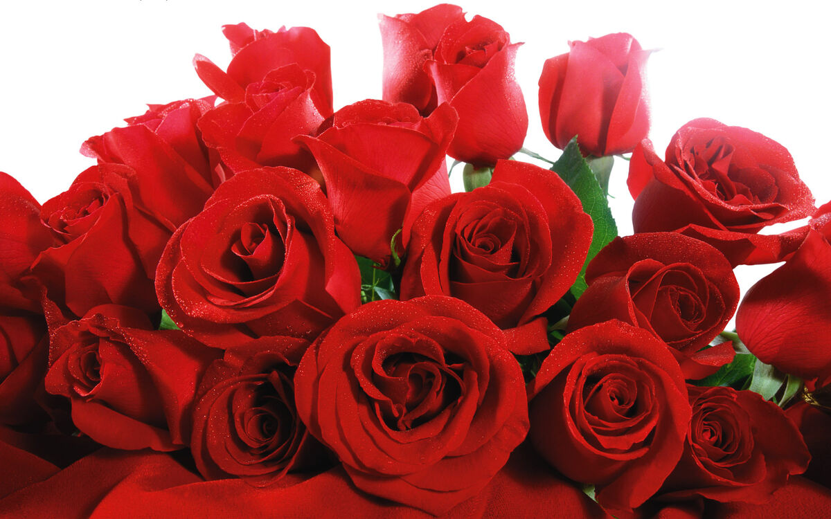 My Valentine, Always