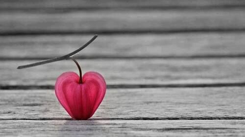 Love is born Love is born