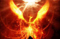 PHOENIX RISING FROM THE FLAMES..
