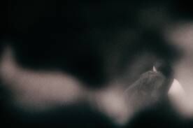 Darkest Heart Darkest Heart