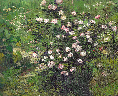 The Roses The Roses