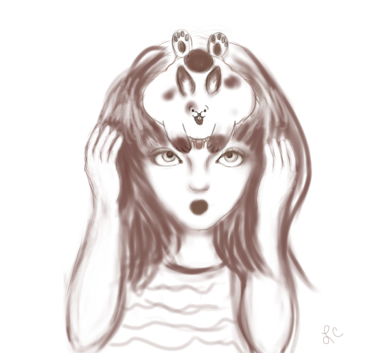 rabbit on my head rabbit on my head
