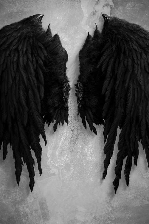 Wings II Wings II
