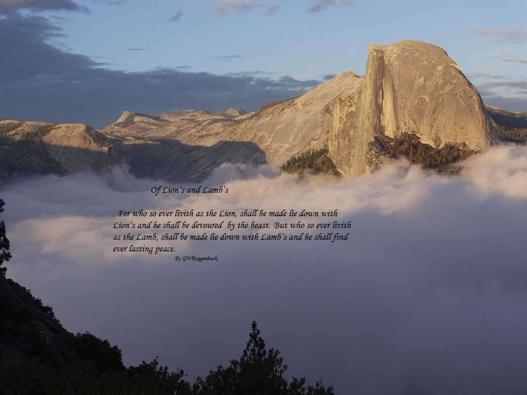 Lion&#039;s and Lamb&#039;s