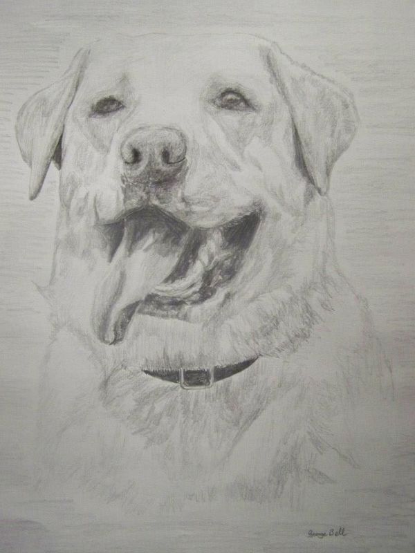 lab portrait