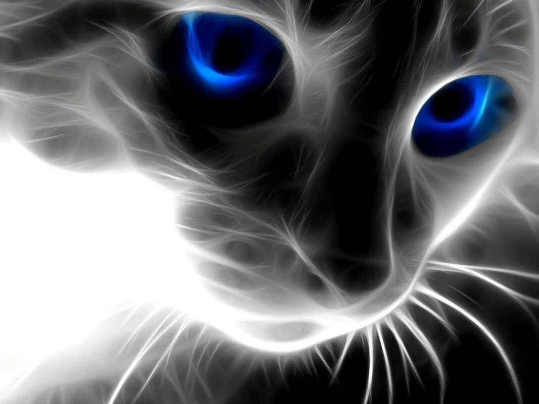 PURR-FECT !?X PURR-FECT !?X