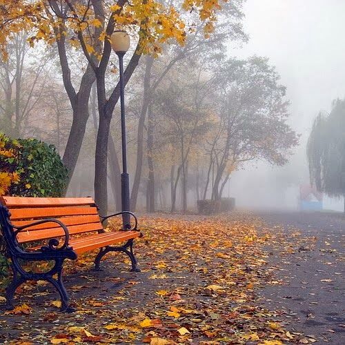 Sorrow