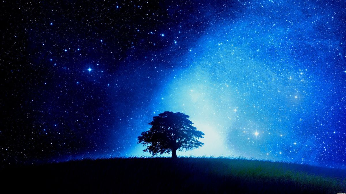 When I Become A Star When I Become A Star