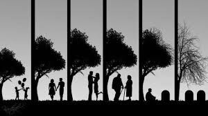 True Love True Love