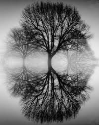 Reflection Reflection