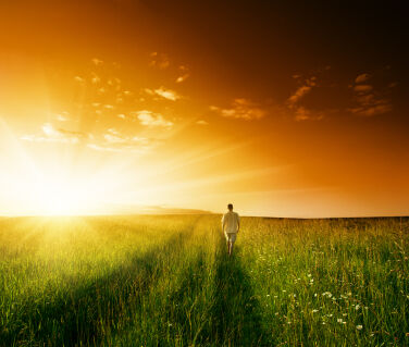 Alone Under the Sun Alone Under the Sun