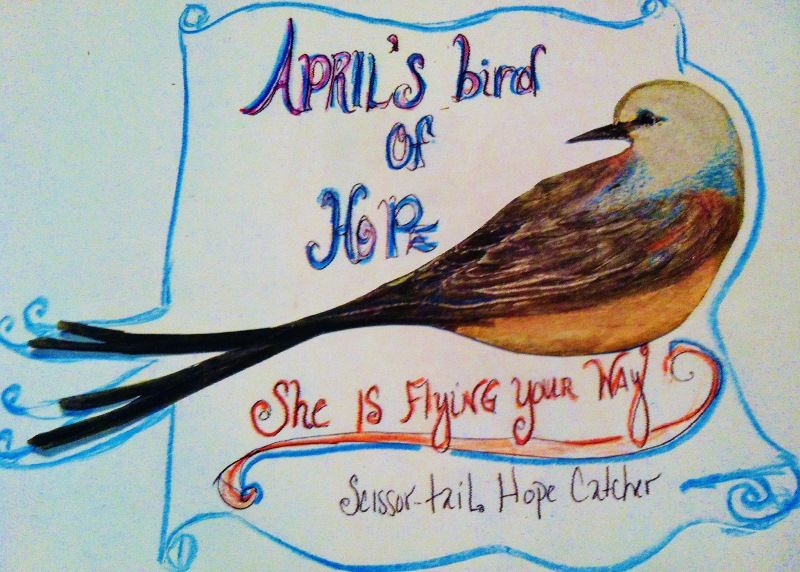 April&#039;s bird of Hope