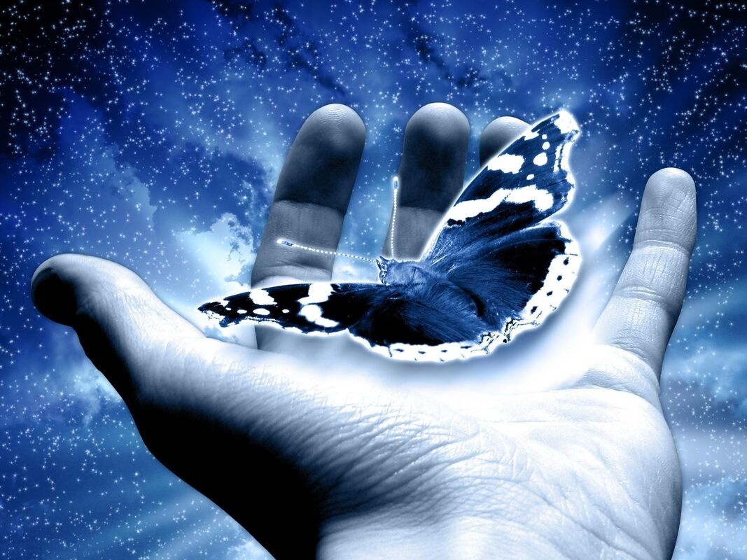 "THE BUTTERFLY INFECTION" "THE BUTTERFLY INFECTION"