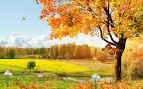 The Beauty of Nature The Beauty of Nature