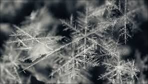 Crystal Snowflakes Crystal Snowflakes