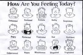 FEEL FEEL