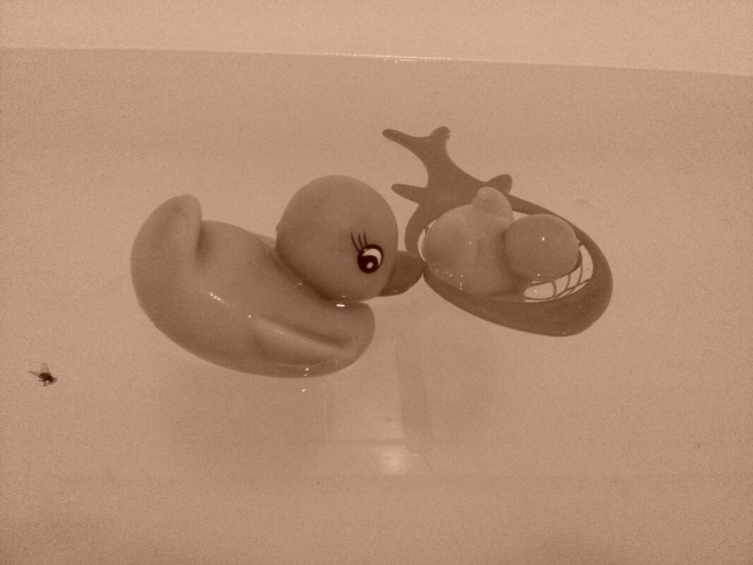 DUCK RESCUE