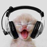 PURR.." HEAR ME ROAR !"?X PURR.." HEAR ME ROAR !"?X