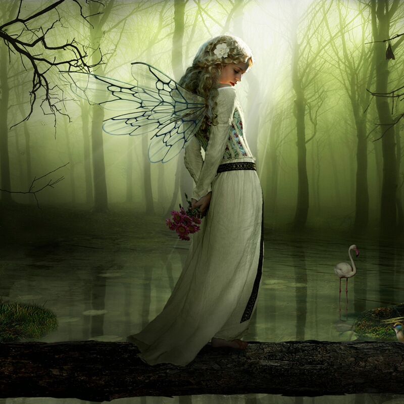 HAPPiLY NEVER AFTER HAPPiLY NEVER AFTER