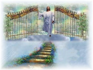 The gate The gate