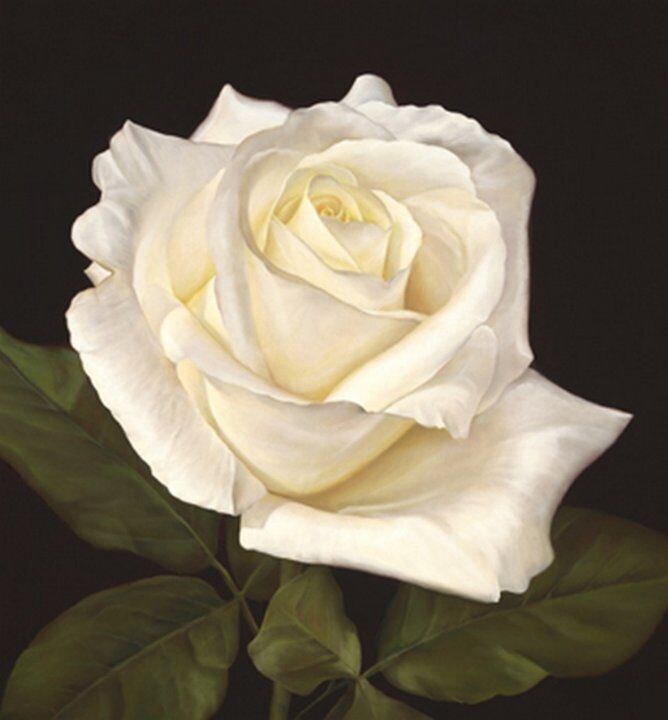 ~~IT’S THE SIMPLE THINGS THAT MEAN SO MUCH ~~IT’S THE SIMPLE THINGS THAT MEAN SO MUCH