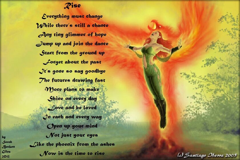 Rise Rise
