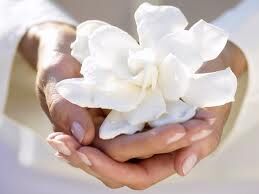 ~~SO MANY OUT THERE SHOWING LOVE TO THE LONELY ~~SO MANY OUT THERE SHOWING LOVE TO THE LONELY