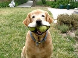 OH.BALL,S!?X OH.BALL,S!?X