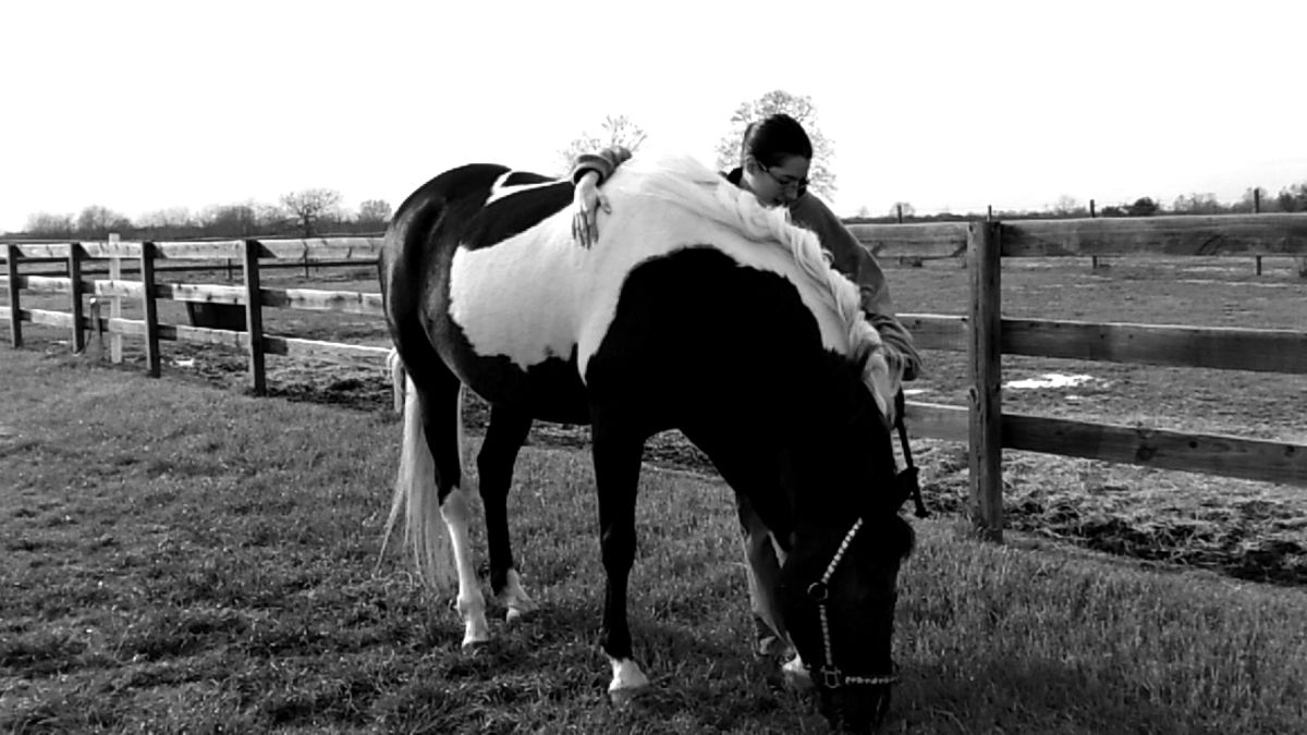 Rogue: No Other Horse... Rogue: No Other Horse...