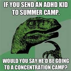 what really happens at summer camp what really happens at summer camp