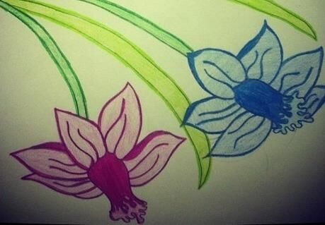 Spring Blooms