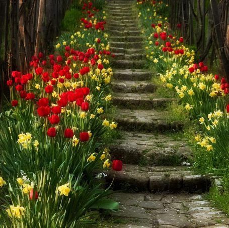 Spring Tranquillity Spring Tranquillity