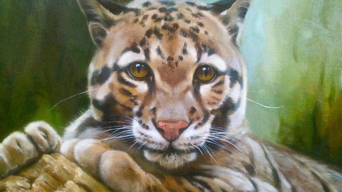 Wild cat