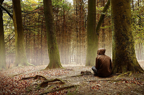 Lost In The Woods Lost In The Woods
