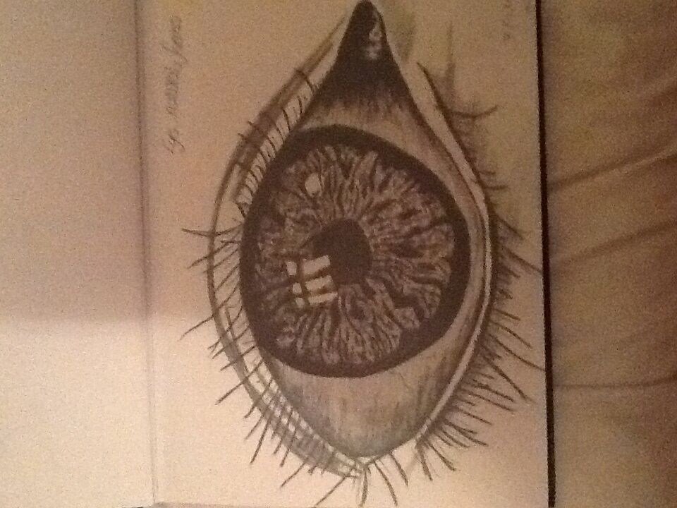 Eye