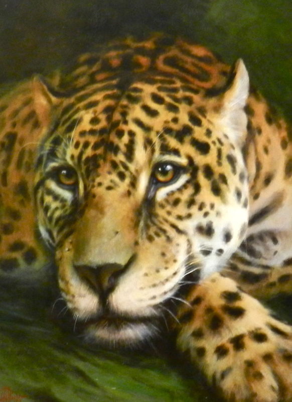 Leopard